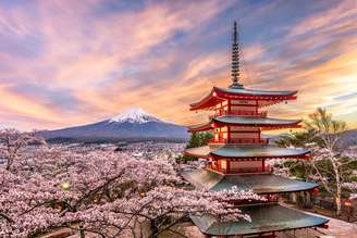 Fuji,na primavera, com flores de cerejeira