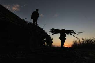 Homens carregam cana-de-açúcar após colheita
30/12/2010
REUTERS/Oswaldo Rivas