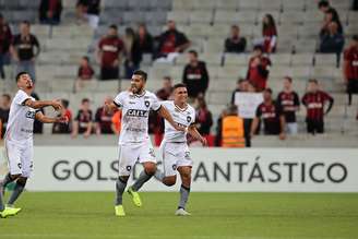 Botafogo tenta fugir do rebaixamento para a Série B
