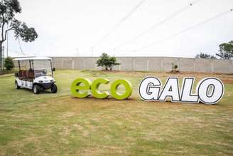 O EcoGalo é a primeira iniciativa no país de um CT sustentável- Divulgação/Atlético-MG