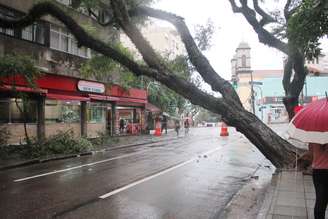 Queda de árvore na Rua Dr. Veiga Filho, esquina com Avenida Angélica, no bairro de Higienópolis, em São Paulo (SP), na manhã desta terça-feira (26/02/2019)