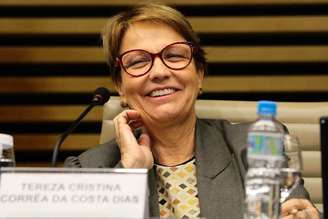 Ministra da Agricultura, Pecuária e Abastecimento, Tereza Cristina