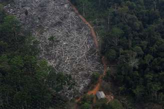 Desmatamento da floresta amazônica em Rondônia
03/09/2015
REUTERS/Nacho Doce