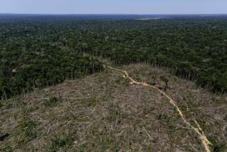 Desmatamento da Amazônia em Apuí, no Amazonas
27/07/2017
REUTERS/Bruno Kell