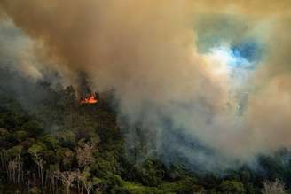 Incêndio no Estado de Rondônia neste sábado, 24