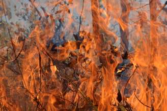 Incêndio florestal perto de reserva Xavante no Estado do Matro Grosso
04/09/2019
REUTERS/Lucas Landau