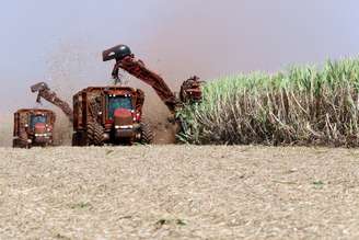 Máquinas agrícolas são utilizadas na extração de cana-de-açúcar em Pradópolis, SP
13/09/2018
REUTERS/Paulo Whitaker