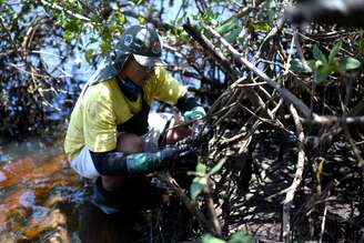 Voluntário remove óleo em praia de Imbassaí em Mata de São João, Bahia 26/10/2019 REUTERS/Lucas Landau