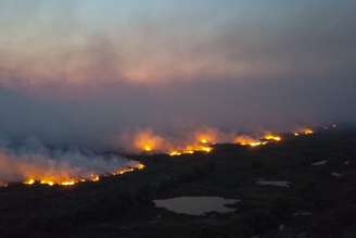 Pantanal sofre com fogo.