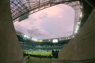 O Palmeiras ainda tem remotas chances de ganhar o Campeonato Brasileiro (Foto: Acervo/Gazeta Press)