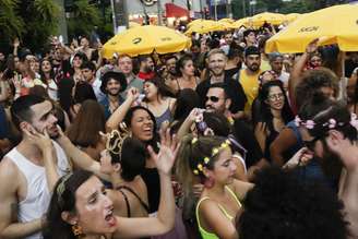 Foliões se divertem com o desfile do Bloco Não Serve Mestre, na Avenida Henrique Schauman