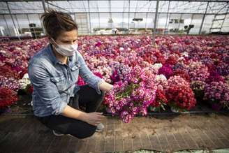 Empresa de flores em Latina, na região do Lazio, centro da Itália