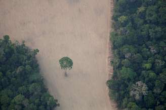 Desmatamento da floresta amazônica
21/08/2019
REUTERS/Ueslei Marcelino