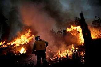 Membro da Brigada de incêndio do Ibama tenta controlar fogo em Apuí, na Amazônia
