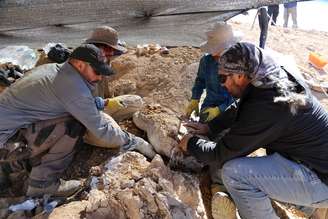 Cientistas se preparam para retirar restos de um dos maiores predadores marinhos do período Jurássico, no deserto do Atacama, no Chile. 14/12/2018. Mauricio Castro/Handout via REUTERS 