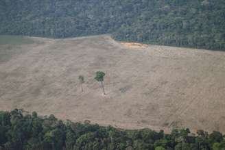 Vista de área desmatada na região de Porto Velho (RO) 
14/08/2020
REUTERS/Ueslei Marcelino