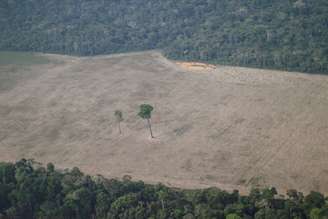 Área desmatada da floresta amazônica na região de Porto Velho (RO) 
14/08/2020
REUTERS/Ueslei Marcelino