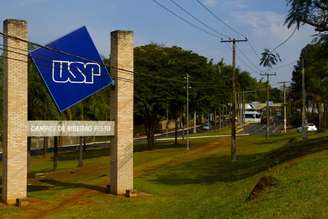 Aulas teóricas seguirão online em julho na USP