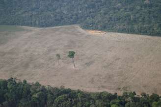 Área desmatada da floresta amazônia na região de Porto Velho (RO) 
14/08/2020
REUTERS/Ueslei Marcelino
