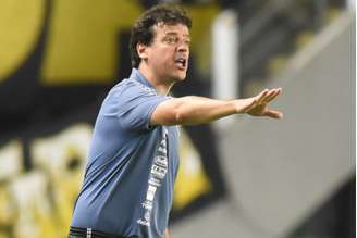 O técnico Fernando Diniz elogiou o desempenho do Santos diante da Juazeirense (FOTO: Ivan Storti)