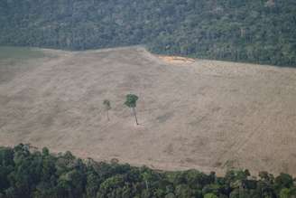 Vista aérea de área desmatada da Amazônia perto de Porto Velho, em Rondônia
14/08/2020 REUTERS/Ueslei Marcelino