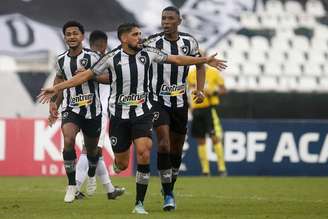 Botafogo, em boa fase, enfrenta o Náutico no próximo sábado, pela Série B (Foto: Vítor Silva/Botafogo)