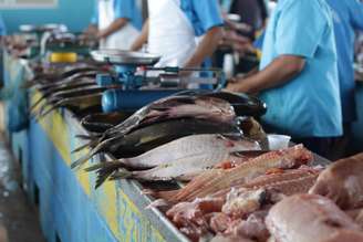 Terras, peixes e águas estão contaminados e aumentam os riscos à populações rurais e urbanas