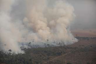 Sobrevoo na região conhecida como Amacro, no Norte do Brasil, a convite do Greenpeace Brasil @Bruno Kelly/Greenpeace