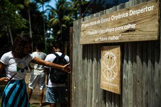 Horta do projeto Despertar, iniciativa de educação ambiental focada em bioconstrução e mutirões com a comunidade.