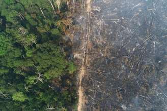 Queimadas na Amazônia