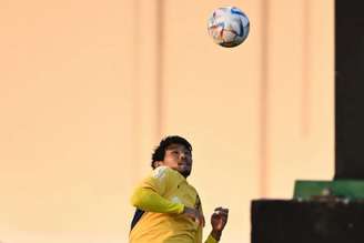 Japão estreia na Copa do Mundo, nesta quarta, contra a Alemanha (Foto: Philip FONG / AFP)