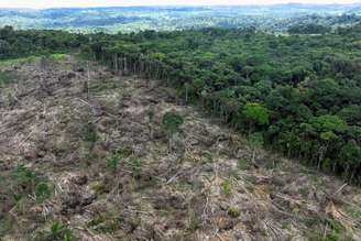 Vista aérea de trecho desmatado no Estado do Pará
21/01/2023
REUTERS/Ueslei Marcelino