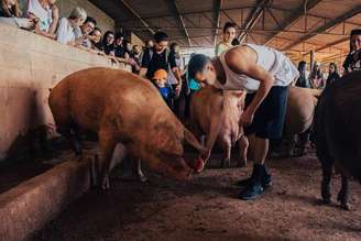 Foto tirada em uma visita ao Santuário Terra dos Bichos