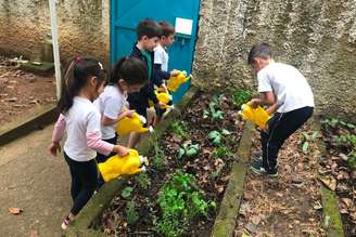 Adubo produto da compostagem é usado por alunos em horta