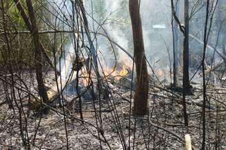 Avião de pequeno porte caiu em Rio Branco (AC) e deixou 12 vítimas neste domingo, 29 de outubro de 2023