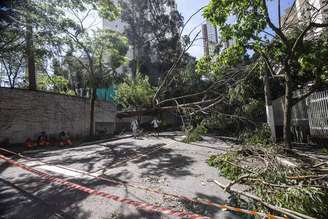 Queda de árvores e galhos na rede elétrica interrompeu o fornecimento de energia para milhares de clientes em São Paulo