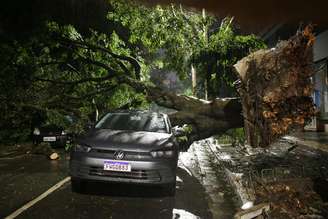 Uma árvore de grandes proporções caiu durante a tempestade e atingiu três veículos na Rua São Carlos do Pinhal, na esquina da Rua Itapeva, em São Paulo, na noite de quarta-feira, 15. O temporal com granizo atingiu São Paulo no início da noite e provocou alagamentos e outras quedas de árvores na cidade. Moradores da capital paulista também relataram novos episódios de falta de energia elétrica. Na semana passada, paulistanos chegaram a ficar quase uma semana sem luz depois de uma tempestade atingir a cidade no último dia 3