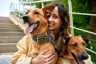 Ter mais de um cachorro pode ser benéfico tanto para o animal quanto para o tutor