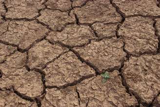 Seca causada pelo El Nino.