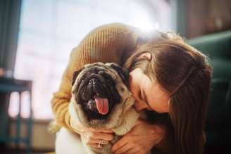 Cães de pequeno a médio porte se adaptam melhor a espaços menores