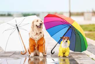 Os passeios durante os dias de chuva exigem alguns cuidados