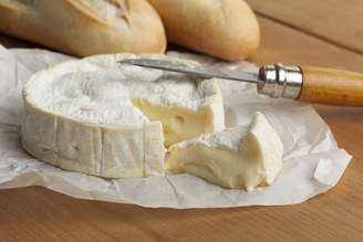 Queijo francês camembert