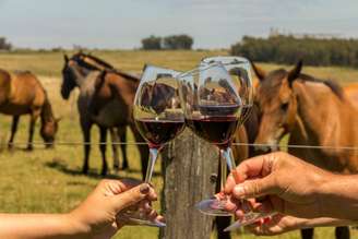 Baron Assemblage 2020, da Adolfo Lona, e o Sacramentos Sabina 2023, da Sacramentos Vinifer são os melhores vinhos brasileiros. 