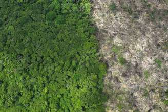 Área desmatada da Floresta Amazônica, no Brasil
21/01/2023
REUTERS/Ueslei Marcelino