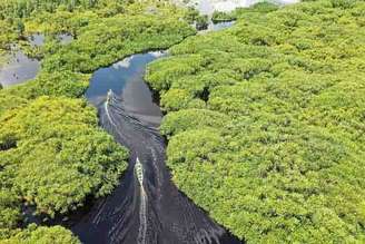 A bacia hidrográfica do Amazonas compreende terras de vários países da América do Sul (Peru, Colômbia, Equador, Venezuela, Guiana, Suriname, Bolívia e Brasil). É a maior bacia de regime misto (pluvial e niveal) do mundo.