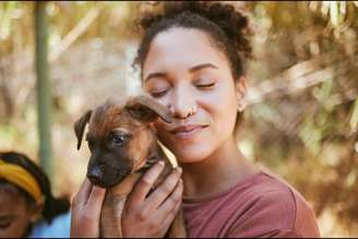 Antes de adotar um animal de estimação, algumas considerações devem ser feitas para tomar essa decisão com responsabilidade