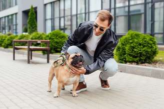 Passear com os cachorros é essencial para manter a saúde física e mental dos animais