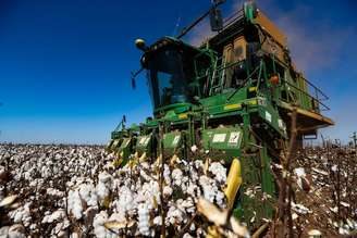 O Brasil se tornou o maior exportador mundial de algodão, superando os Estados Unidos