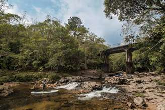 Selva SP, em Marsilac 