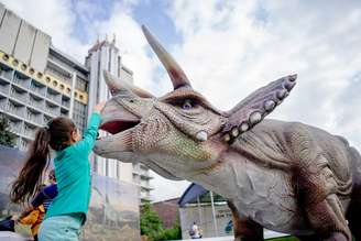 Crianças com fascínio por dinossauros têm melhor desempenho escolar, mostra estudo